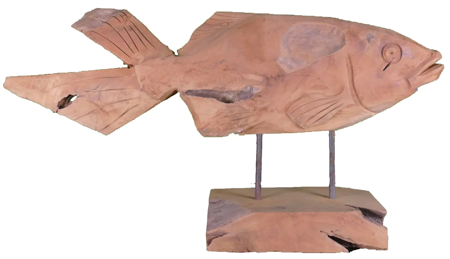  Product image 2 of the product “carved koi wood on stand M made from teak root pieces, 64cm length ”